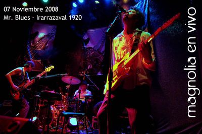 MAGNOLIA EN VIVO